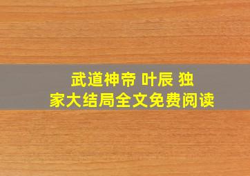 武道神帝 叶辰 独家大结局全文免费阅读